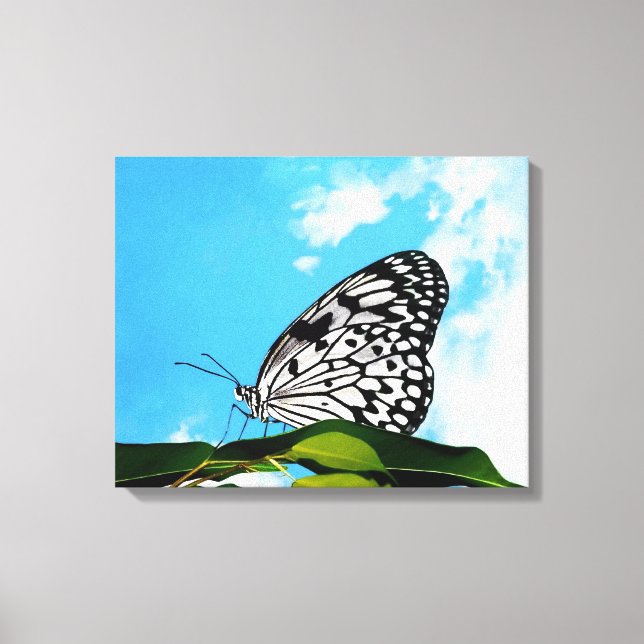 Butterfly & Sky Canvas Print (Front)