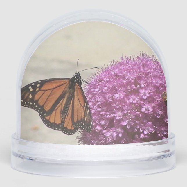Butterfly Snow Globe (Front)