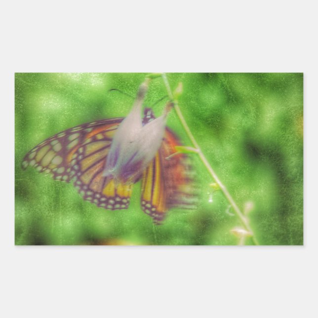 Butterfly Sticker (Front)