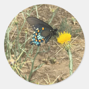 Butterfly Sticker