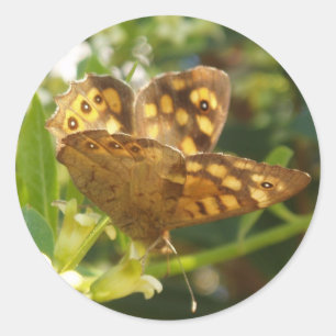 Butterfly Stickers