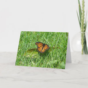 Butterfly summer card