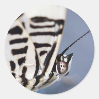butterfly support classic round sticker