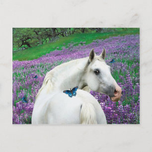 "Butterfly Surprise" Postcard