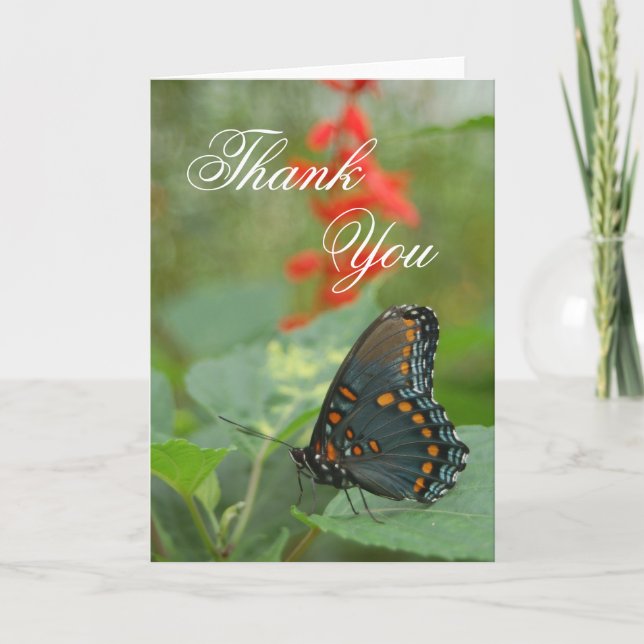 Butterfly Thank You Greeting (Front)