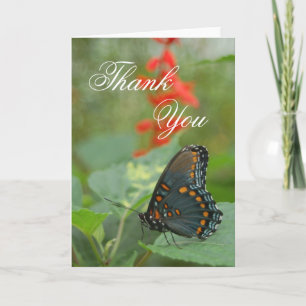 Butterfly Thank You Greeting