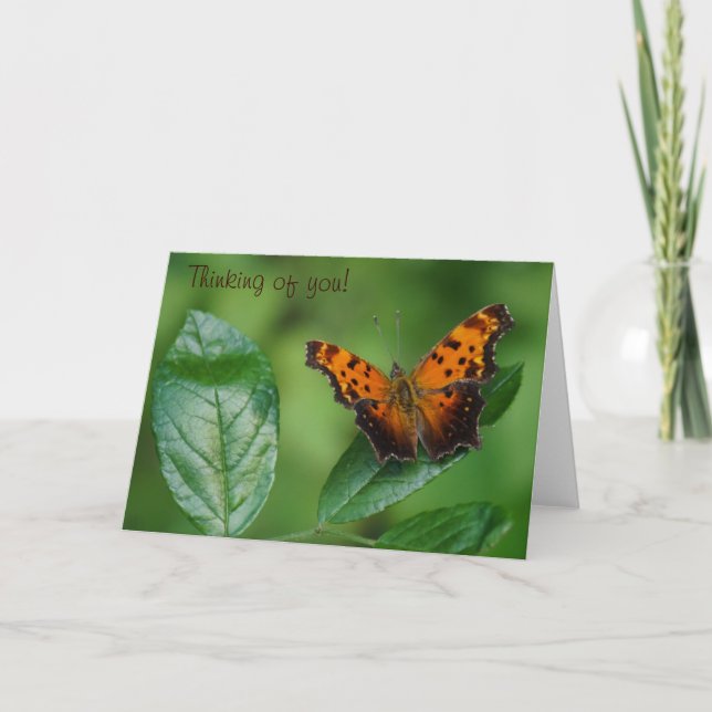 Butterfly Thinking of You! Card (Front)