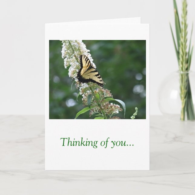 Butterfly Thinking of You Card (Front)