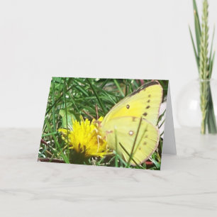 Butterfly - Thinking Of You Card