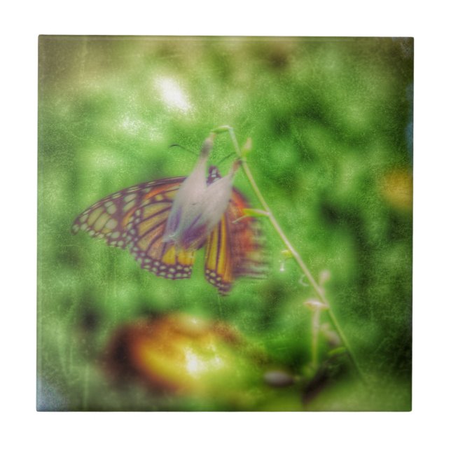 Butterfly Tile (Front)
