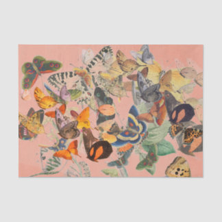 BUTTERFLY Tissue Paper