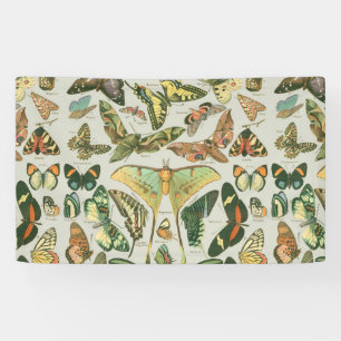 Butterfly Vintage Antique Butterflies Art Banner