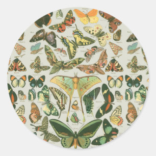 Butterfly Vintage Antique Butterflies Art Classic Round Sticker