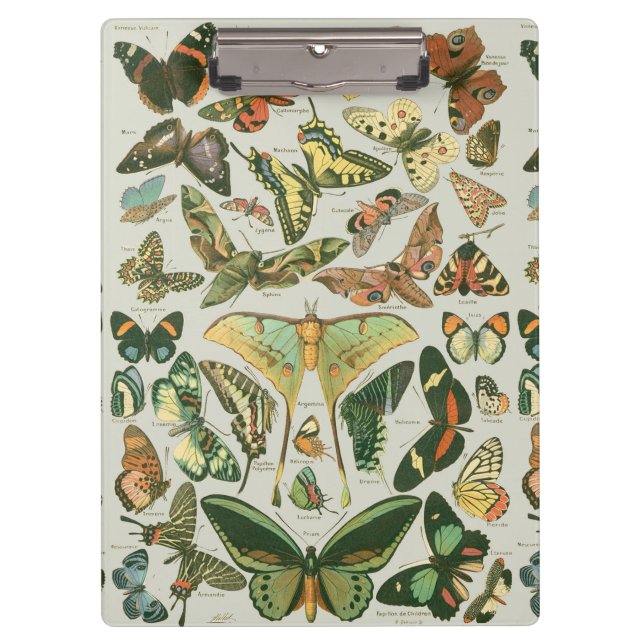 Butterfly Vintage Antique Butterflies Art Clipboard (Front)