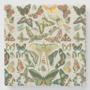 Butterfly Vintage Antique Butterflies Art Stone Coaster