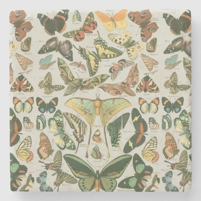 Butterfly Vintage Antique Butterflies Art Stone Coaster (Front)