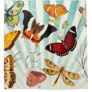Butterfly vintage collage sky