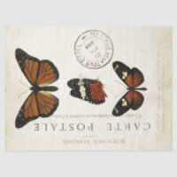 Butterfly Vintage French Carte Postale Decoupage