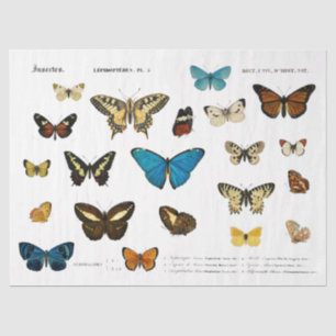 Butterfly Vintage French Decoupage Fussy Cut Tissue Paper