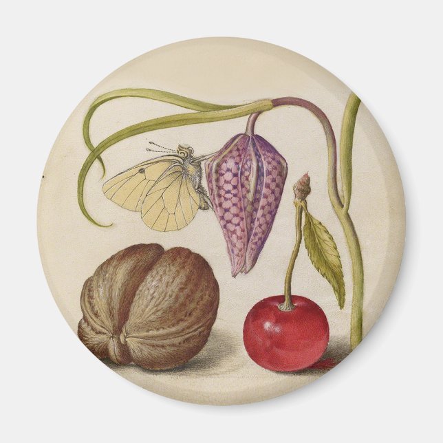 Butterfly Walnut Flower Cherry Watercolor Art Magnet (Front)