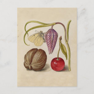 Butterfly Walnut Flower Cherry Watercolor Art Postcard