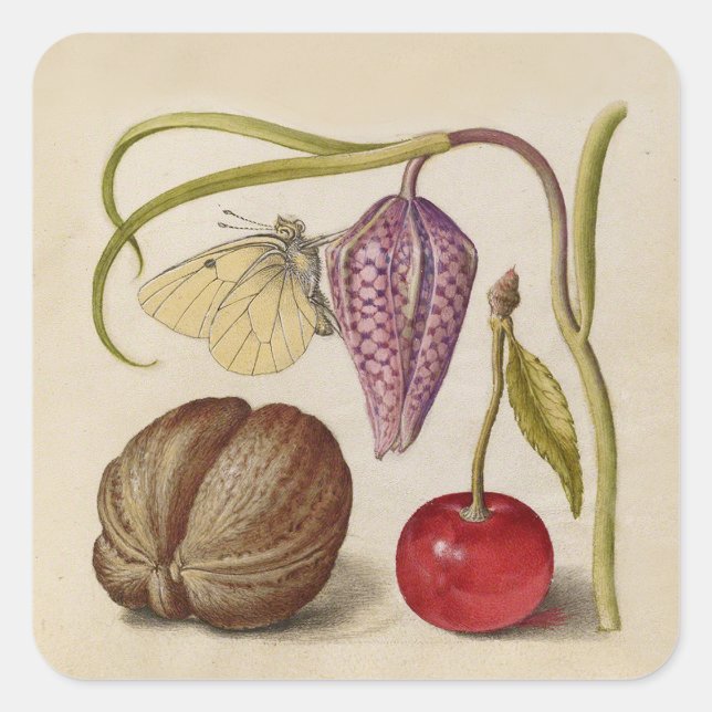 Butterfly Walnut Flower Cherry Watercolor Art Square Sticker (Front)