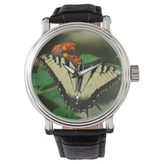 Butterfly watch