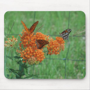Butterfly Weed Mouse Pad