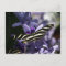 BUTTERFLY WILD LIFE INSECT POSTCROSSING
