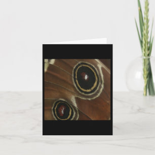Butterfly Wing Detail Nature Lovers Sticker Card