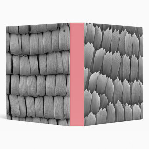Butterfly wing scales Binder