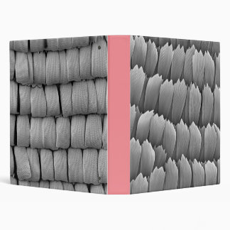 Butterfly wing scales Binder