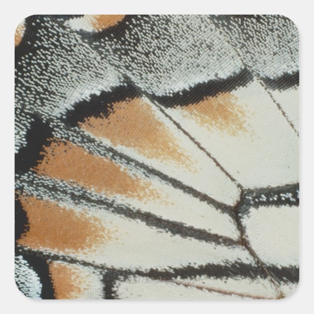 Butterfly Wing Square Sticker (Front)