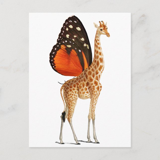 Butterfly winged giraffe  postcard (Front)