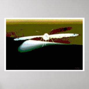 Butterfly Wings Abstract Poster