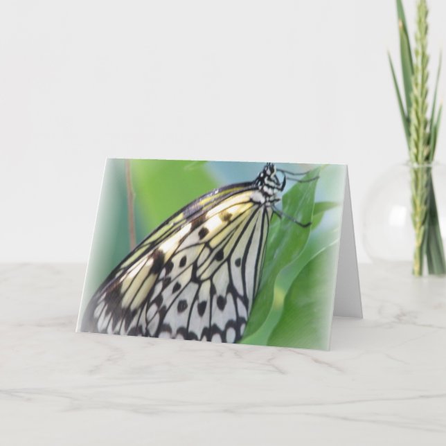 Butterfly Wings Greeting Card (Front)