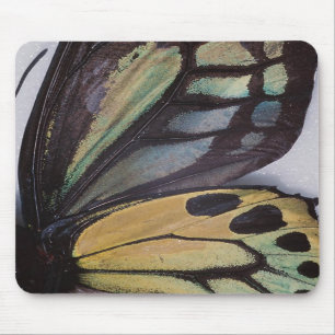 Butterfly Wings Mousepad