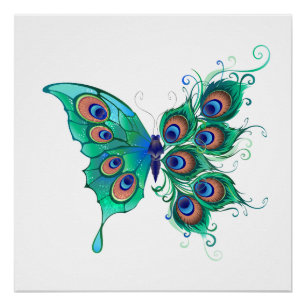 Butterfly with Green Peacock Feathers Poster