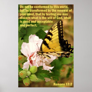 Butterfly with Romans 12:2 Poster