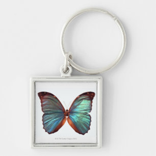 Butterfly with wings spread 2 keychain