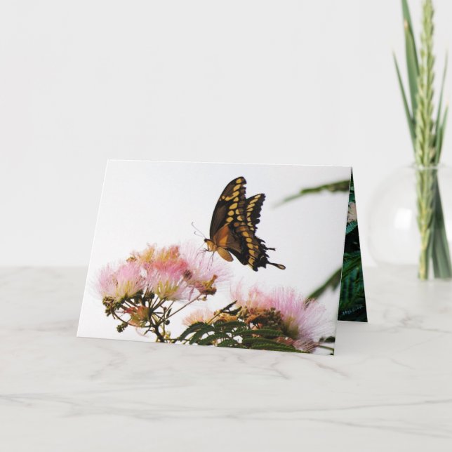 BUTTERFLY WONDERMENT CARD (Front)
