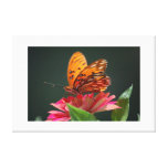 Butterfly Wrapped Canvas Stretched Canvas Print