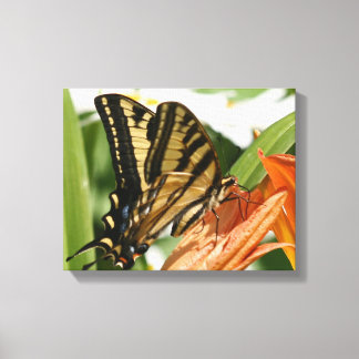 Butterfly wrapped canvas