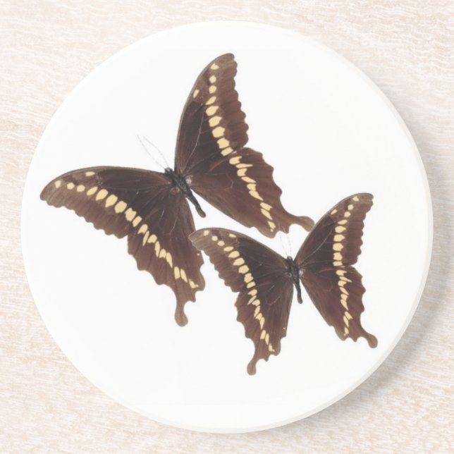 Butterfly's Coaster (Front)