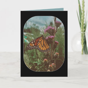 butterflys orange  card