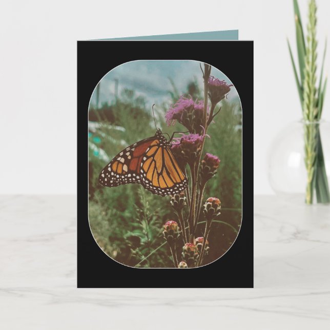 butterflys orange  card (Front)