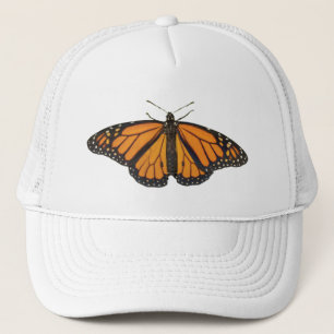Butterflys Wings Photographie Monarch Casquette