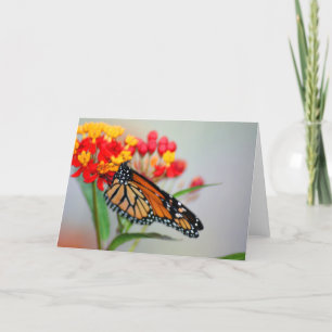 Butterly & Flower Designer Note Cards