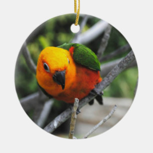 Butters Ceramic Ornament