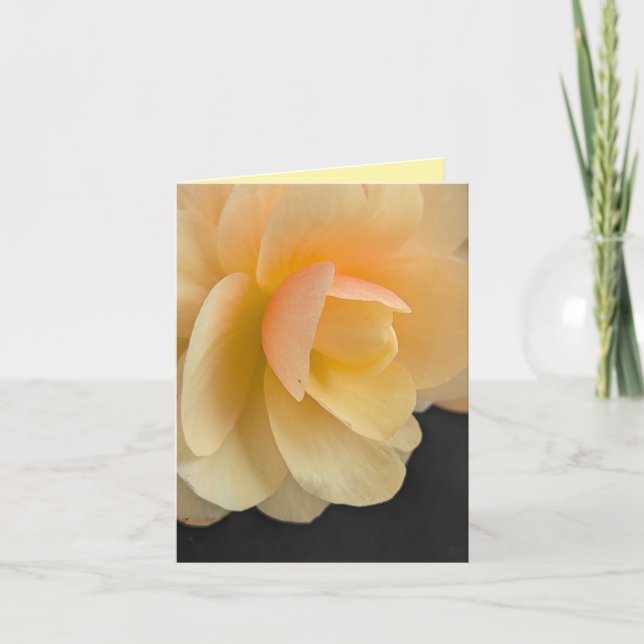 Buttery Begonia Note Card (Front)